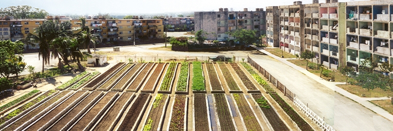 Iniciativas que todas las ciudades españolas deberían copiar para poder vivir mejor